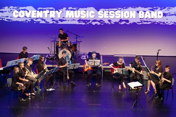 advanced orchestral musicians playing on a stage